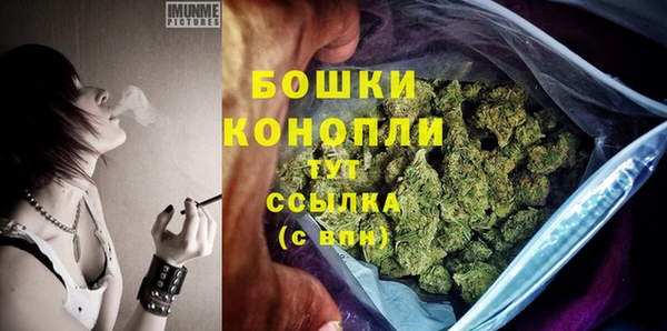 прущие крисы Осинники