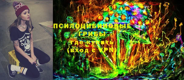 индика Гусь-Хрустальный