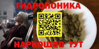 СК Абинск