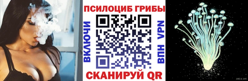 Галлюциногенные грибы Psilocybine cubensis  hydra как зайти  Михайловск  купить  сайты 