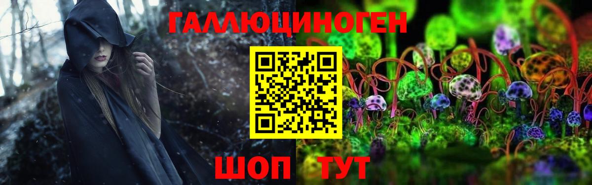 Галлюциногенные грибы Psilocybe  Вход с VPN  Михайловск 